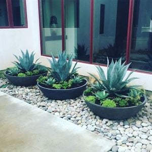 plantas en macetas enterradas a lo largo de la idea de paisajismo