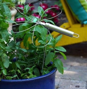  Wire Whisk Dragonfly