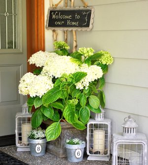 Hydrangeas & Lanterns on Front porch