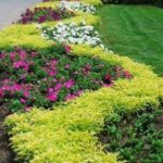 100 Best Front and Backyard Landscaping Ideas - Prudent Penny Pincher