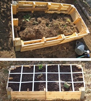 Pallet Gardening