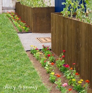 Planter Box Fence landscaping border