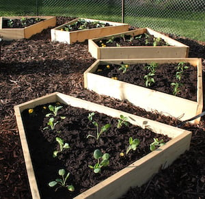 Raised Medicinal Wheel Garden Bed Idea