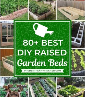 80 Best DIY Raised Garden Beds