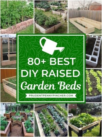 80 Best DIY Raised Garden Beds