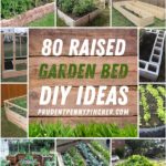 raised garden beds