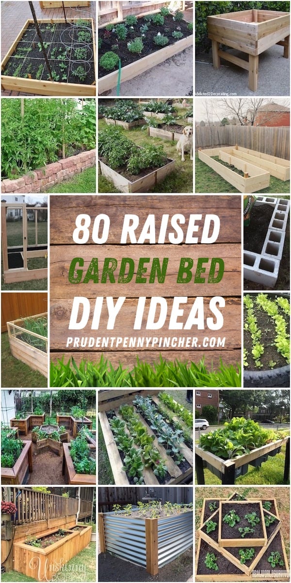 raised garden beds