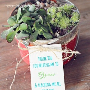 Helping Me Grow Plant Poem Printable for teachers