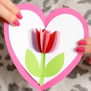 Tulip Heart Card