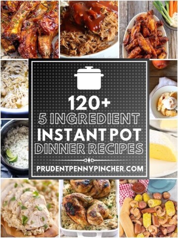 120 Best 5 Ingredient Instant Pot Recipes