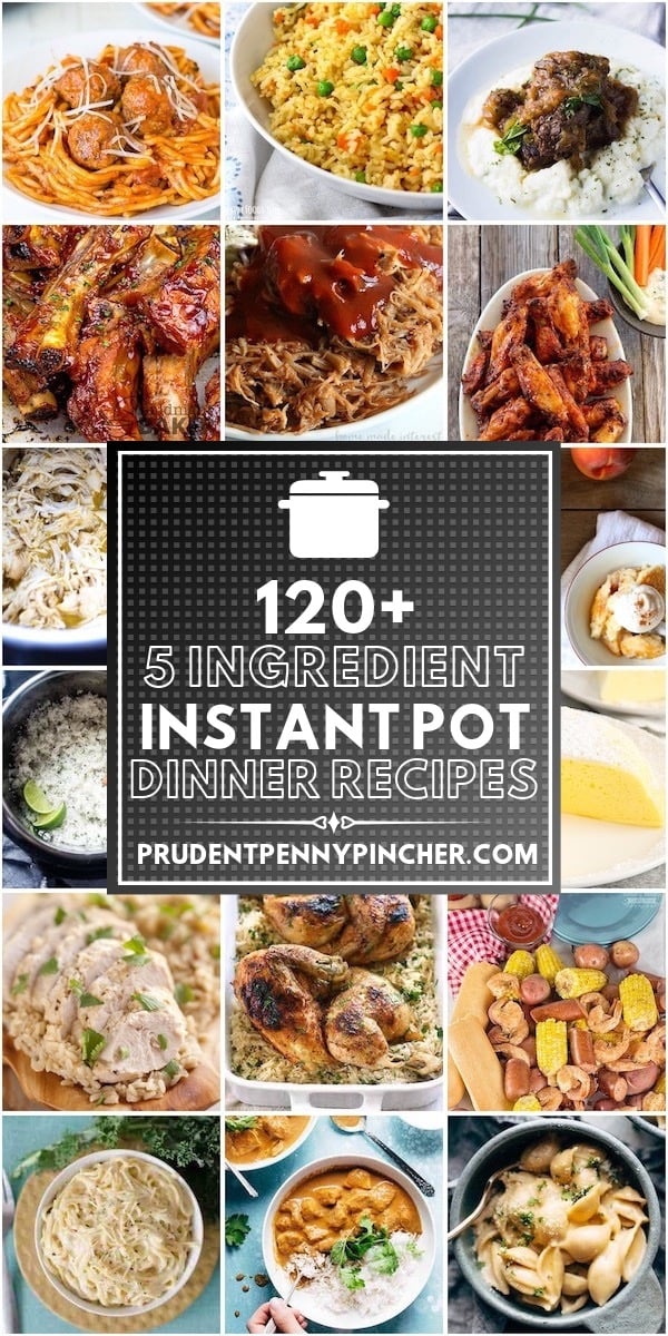 120 5 Ingredient Instant Pot Recipes