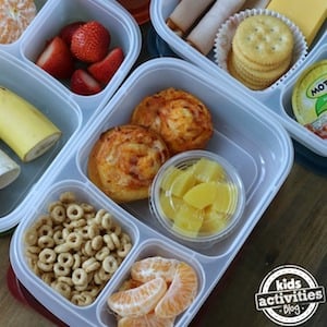 5 Back to School Lunches for Picky Eaters 