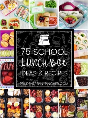 75 Back to School Lunch Box Ideas