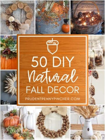 50 DIY Natural Fall Decor Ideas