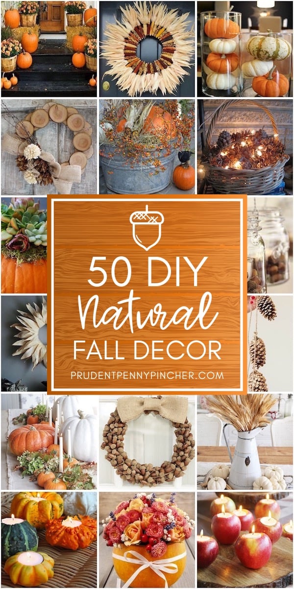 50 DIY Natural Fall Decor Ideas