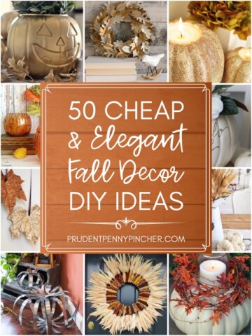 50 Cheap and Elegant Fall Decorations
