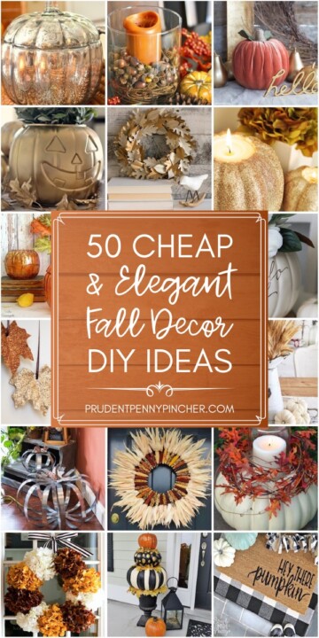 50 Cheap and Elegant Halloween Decorations - Prudent Penny Pincher