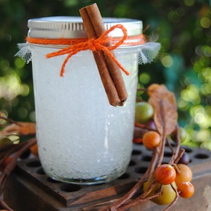 Cinnamon Orange Mason Jar Air Freshner