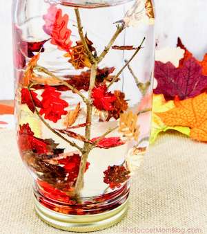 Falling Leaves Sensory Bottle