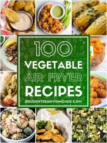 100 Vegetable Air Fryer Recipes