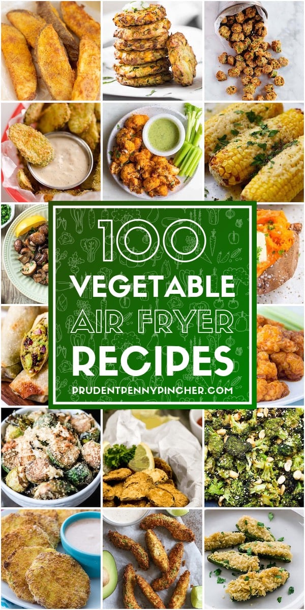 100 Vegetable Air Fryer Recipes 
