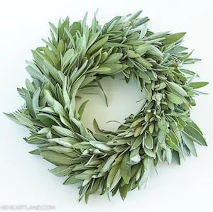 DIY Fresh Sage Wreath for thanksgiving