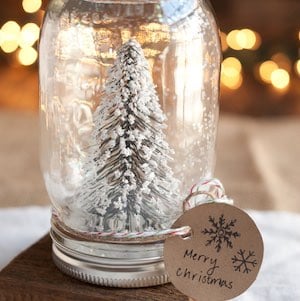 Anthropologie Mason Jar Snow Globe