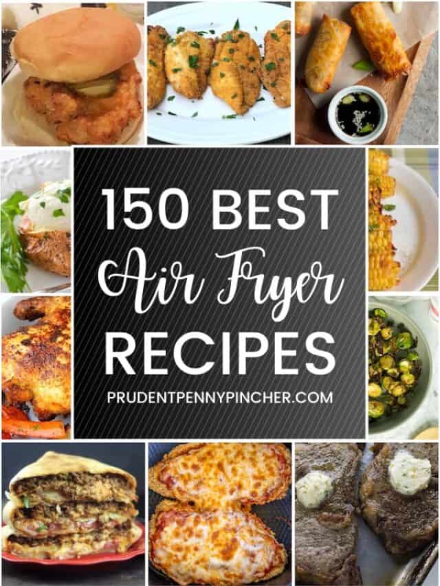 150 Best Air Fryer Recipes Prudent Penny Pincher