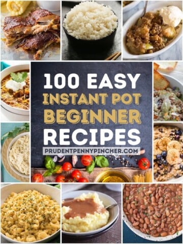 Instant Pot Archives - Prudent Penny Pincher