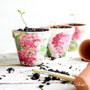 Decoupage Spring Terra Cotta Pots