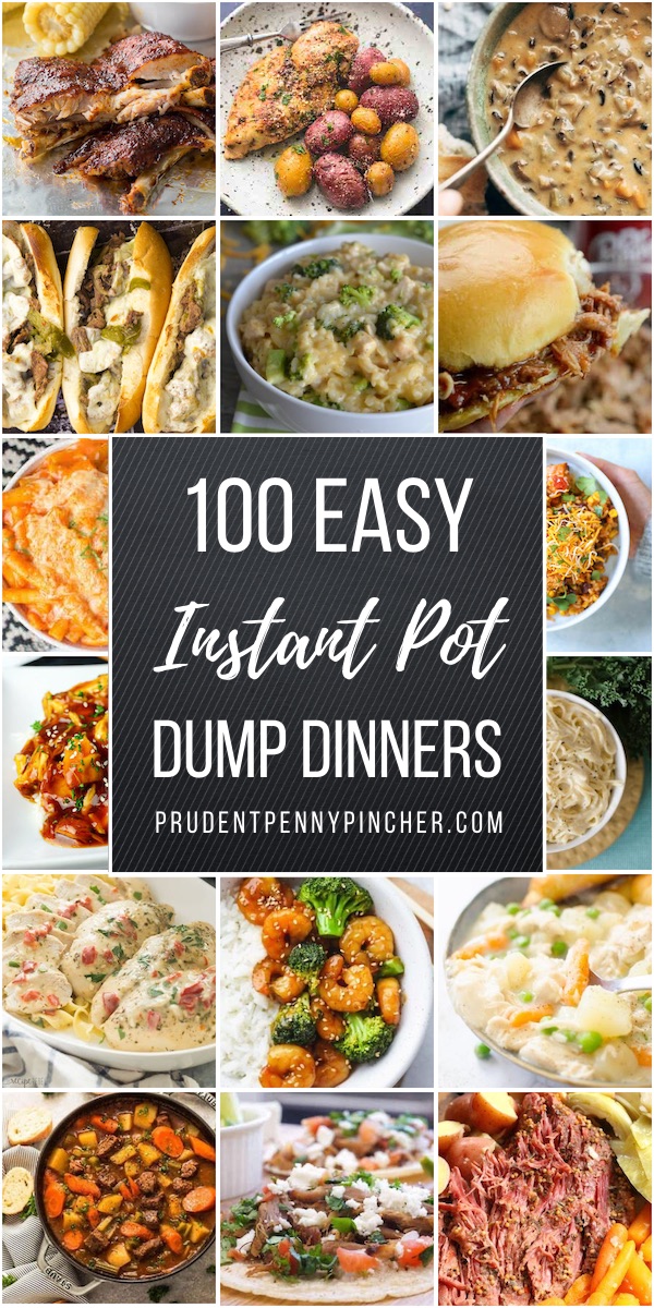 100 Dump and Go Instant Pot Dinner Recipes - Prudent Penny Pincher