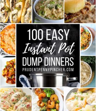 100 Dump and Go Instant Pot Dinner Recipes
