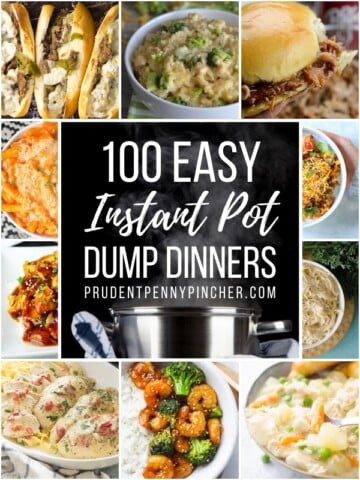 100 Dump and Go Instant Pot Dinner Recipes