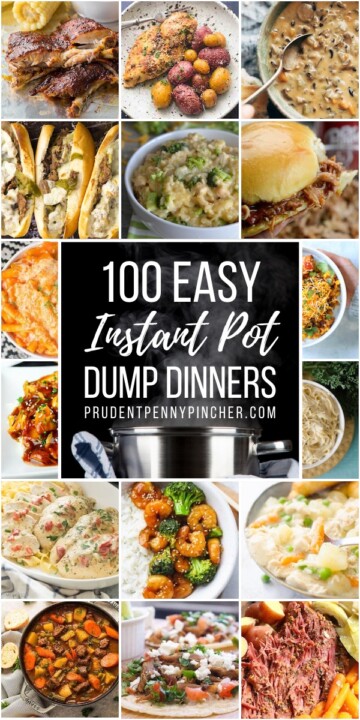 100 Dump and Go Instant Pot Dinner Recipes - Prudent Penny Pincher