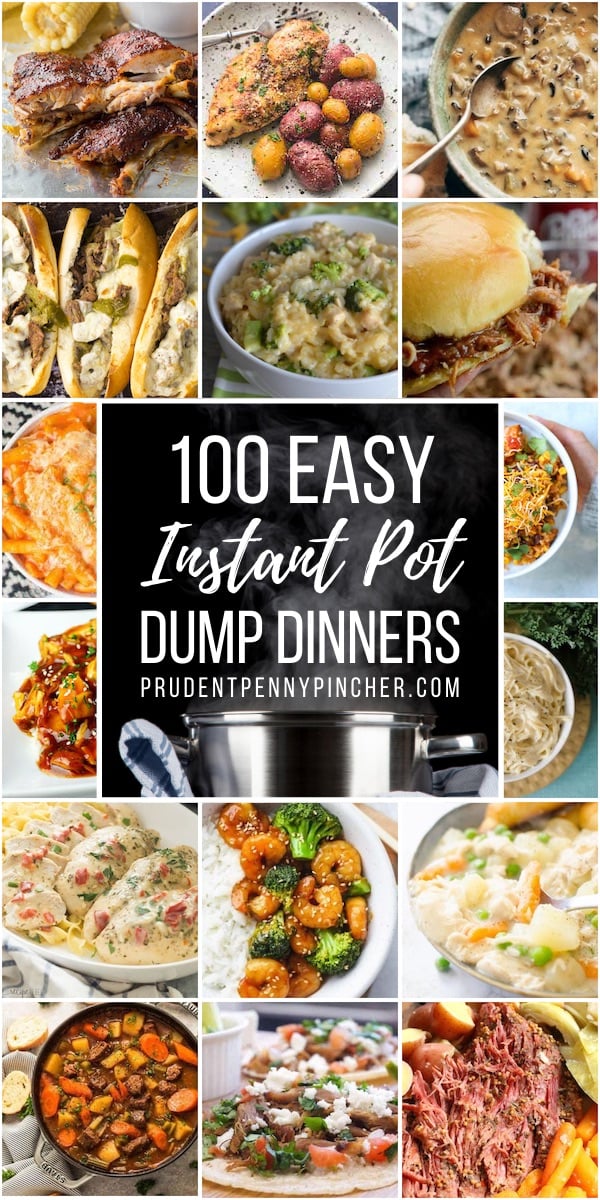 100 Dump and Go Instant Pot Dinner Recipes