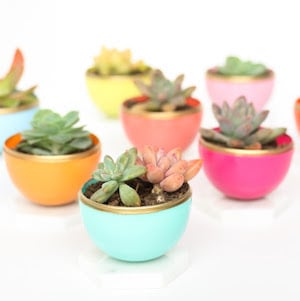  Mini Plastic Egg Succulent Planters