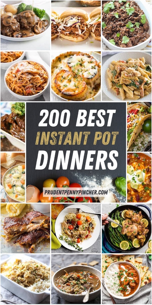 200 Best Instant Pot Recipes - Prudent Penny Pincher