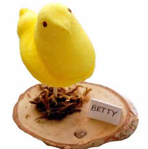 Peeps Place Card