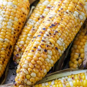 grilled corn on the cob bbq side dish
