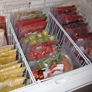 Freezer Leftovers Organization
