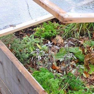 DIY Cold Frame