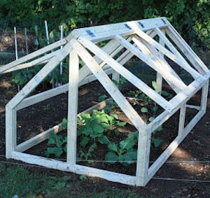 mini invernadero con marcos de madera