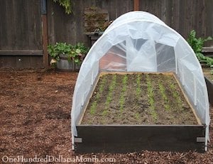 Poly Tunnel