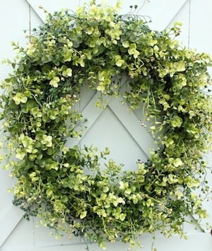 DIY Boxwood Wreath