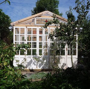 Big, Low-Cost Glass Greenhouse Using Free Windows
