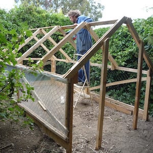 pallet wood greenhouse