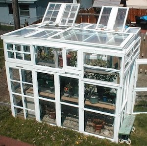 old windows greenhouse