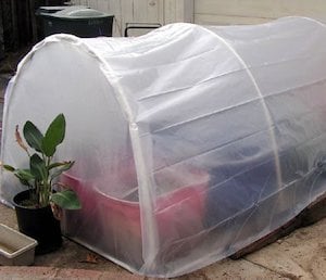 $25 Easy 5x5 Greenhouse