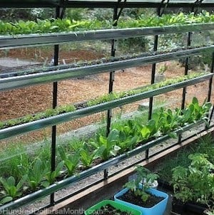greenhouse gardening with gutters
