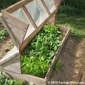 amish cold frame